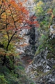 IMG_4541