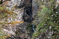 IMG_4544