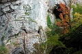 IMG_4553