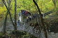 IMG_4558
