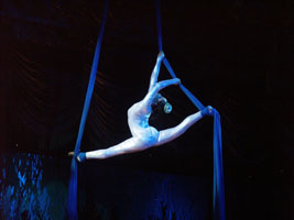 	Entertainment_16	
